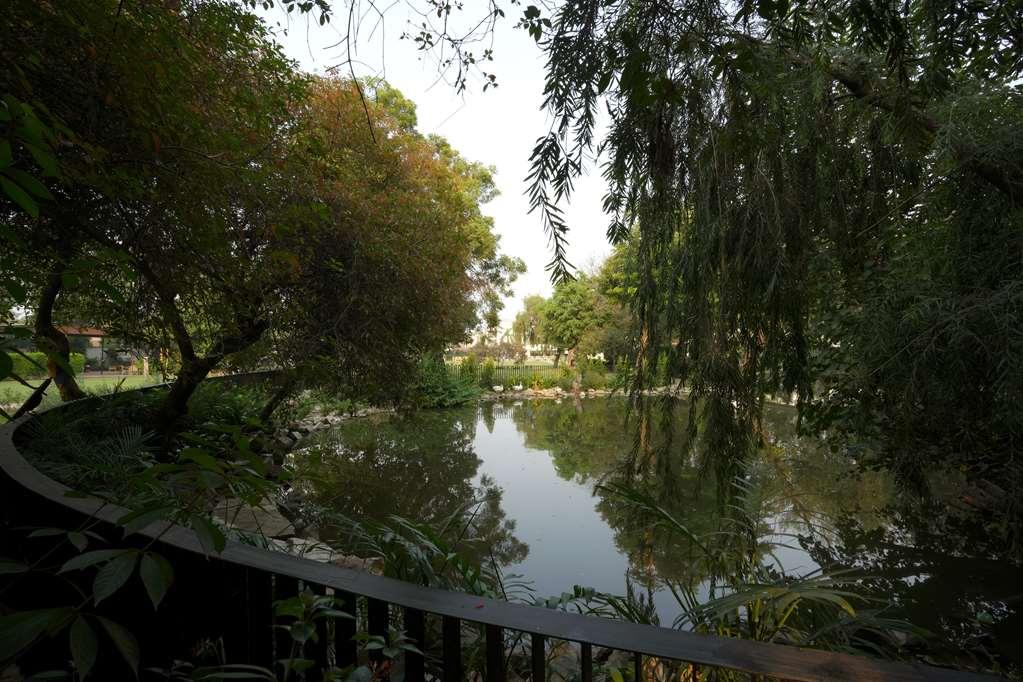 Best Western Resort Country Club Gurgaon Esterno foto